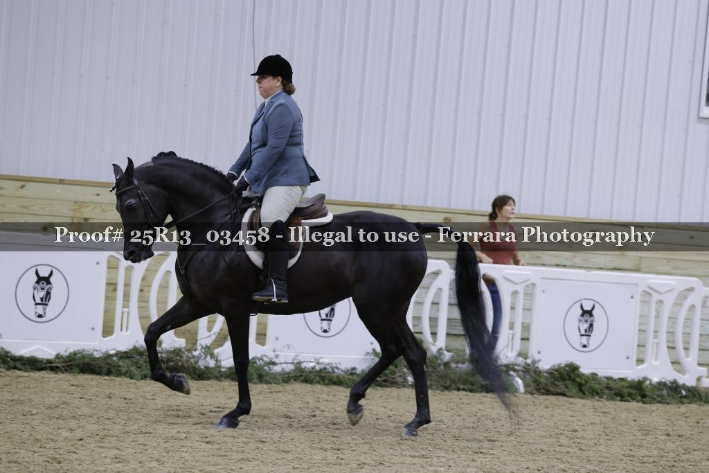 Proof Number 25R13_03458
