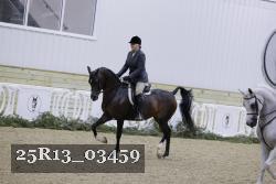 25R13_03459 thumbnail