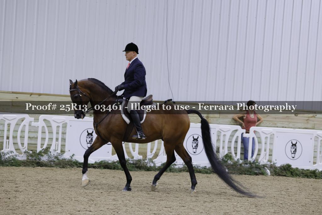 Proof Number 25R13_03461