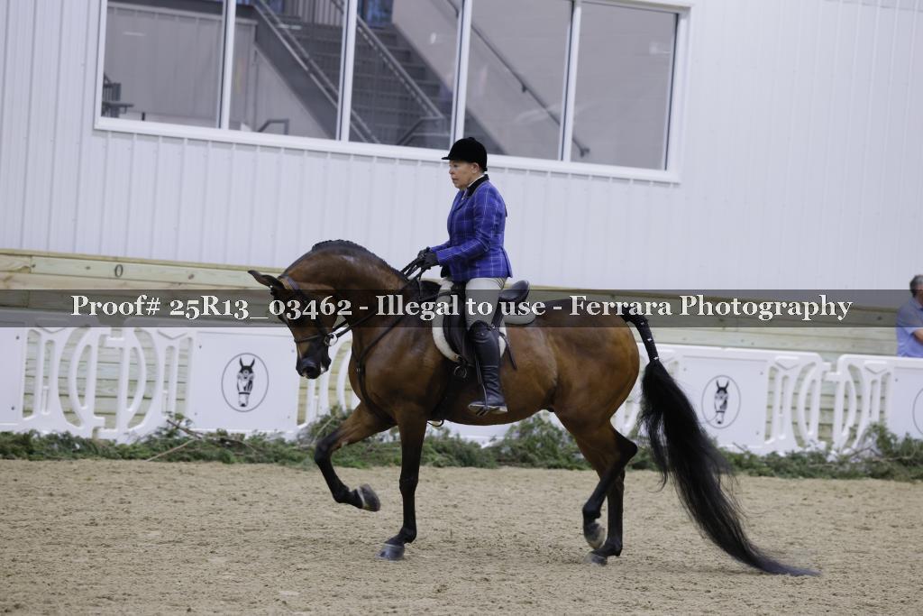 Proof Number 25R13_03462