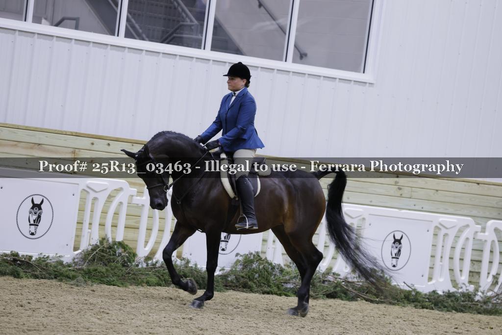 Proof Number 25R13_03463