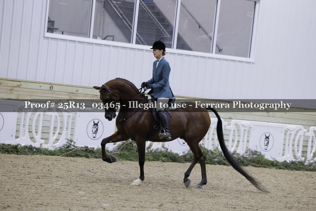Proof Number 25R13_03465