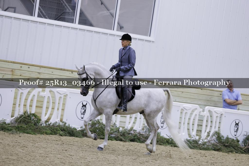 Proof Number 25R13_03466