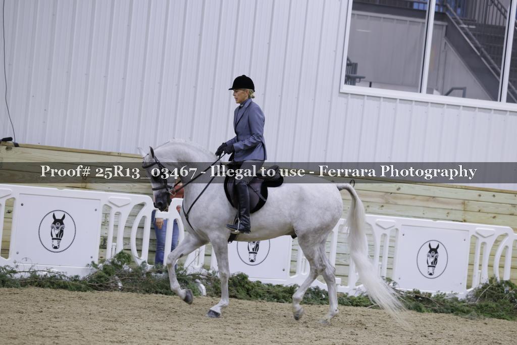 Proof Number 25R13_03467