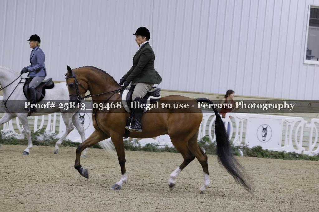 Proof Number 25R13_03468
