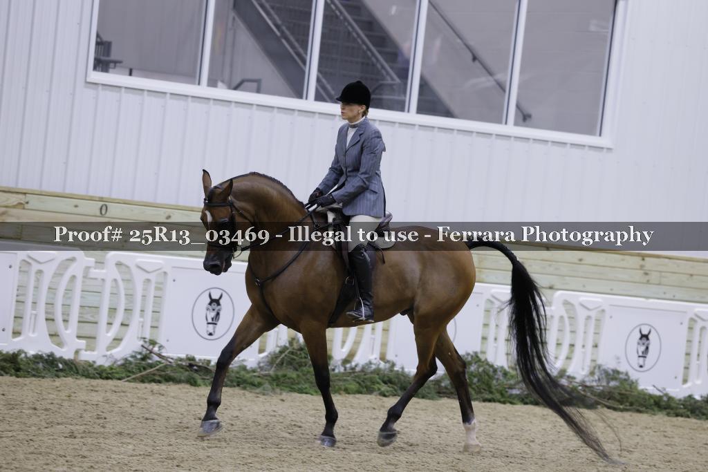 Proof Number 25R13_03469