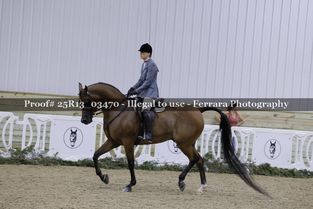 Proof Number 25R13_03470