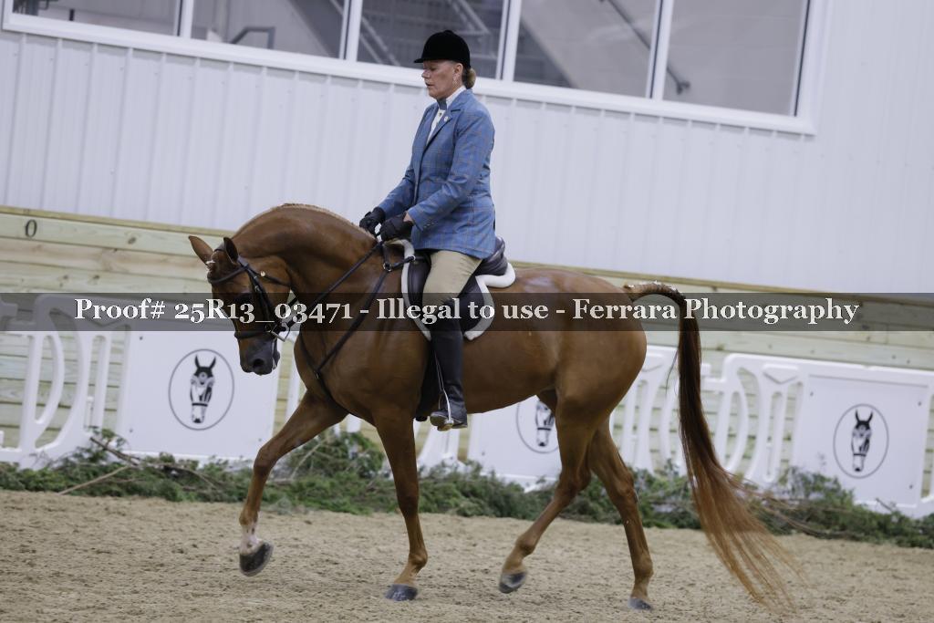 Proof Number 25R13_03471