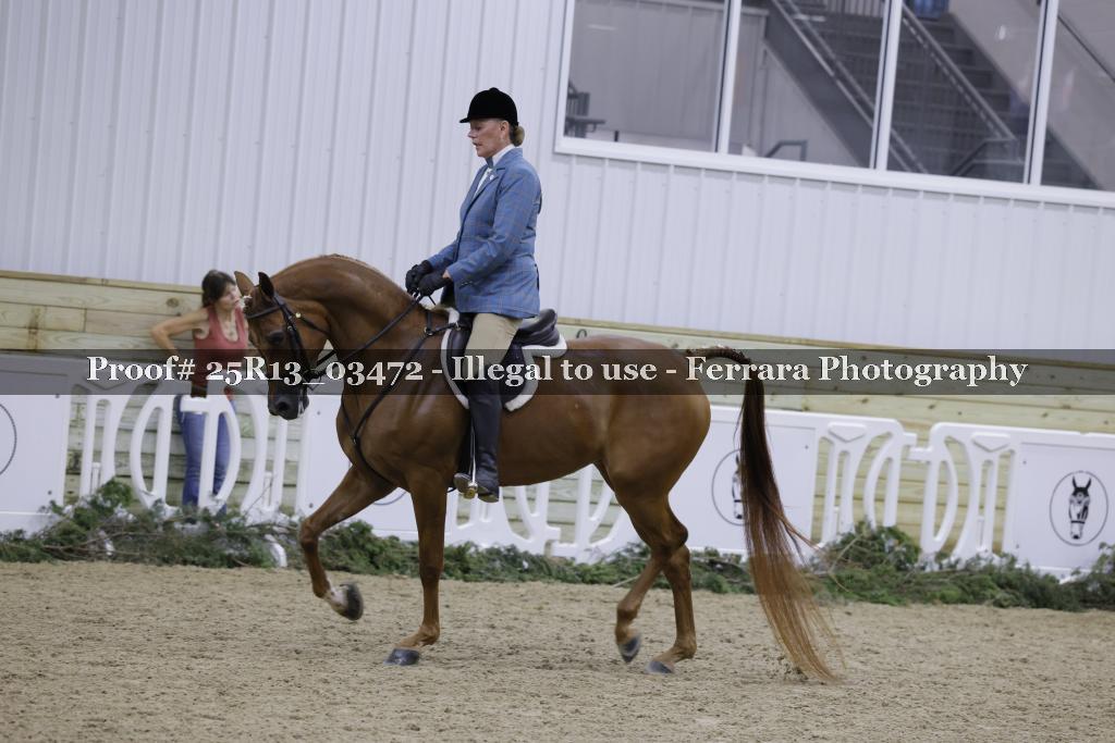 Proof Number 25R13_03472