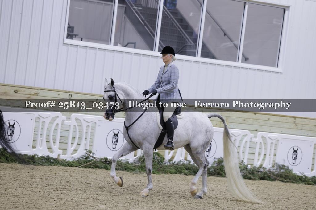 Proof Number 25R13_03473