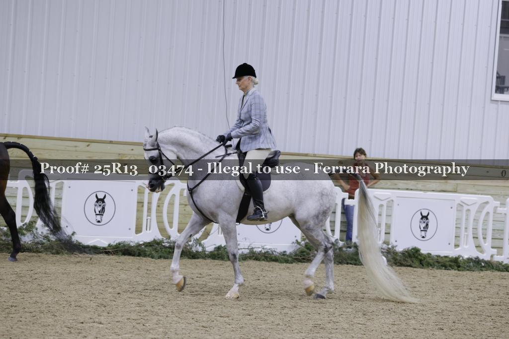 Proof Number 25R13_03474