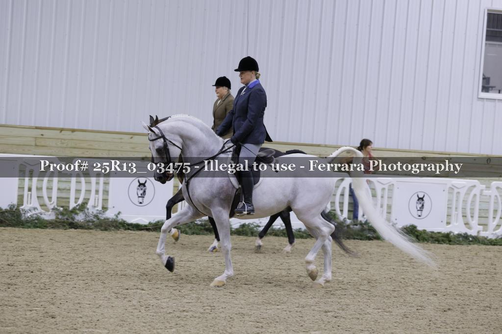 Proof Number 25R13_03475