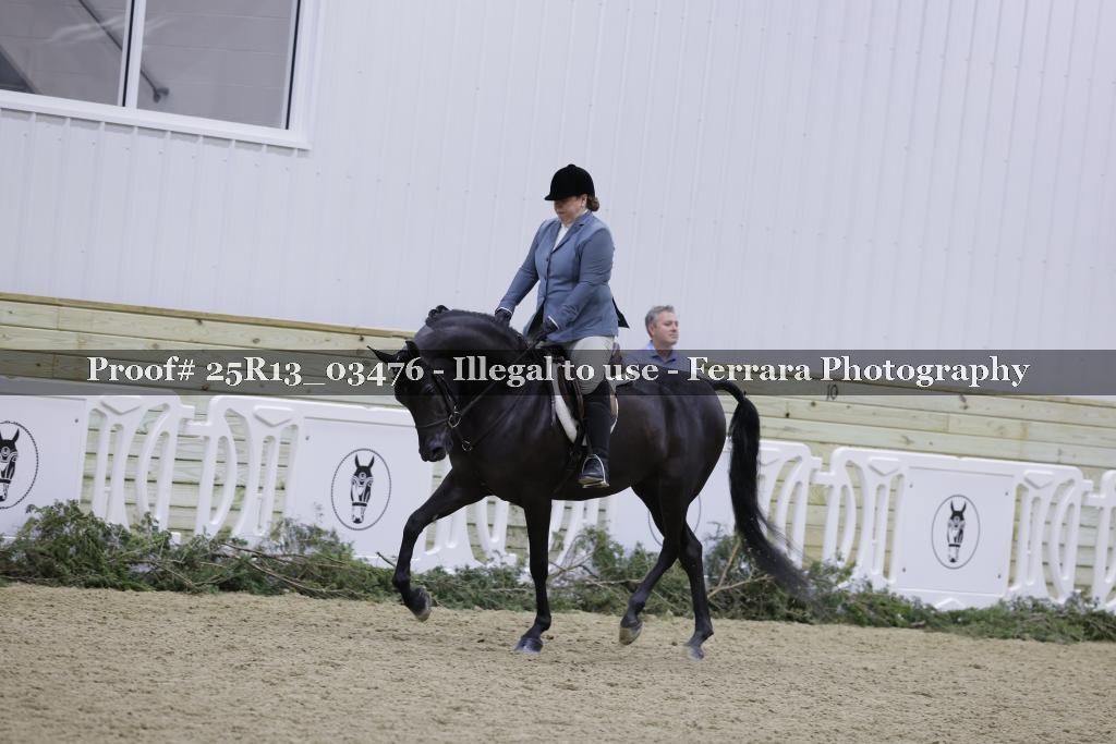 Proof Number 25R13_03476