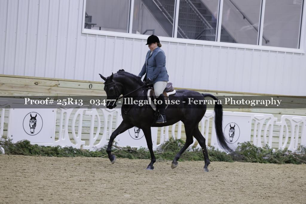 Proof Number 25R13_03477