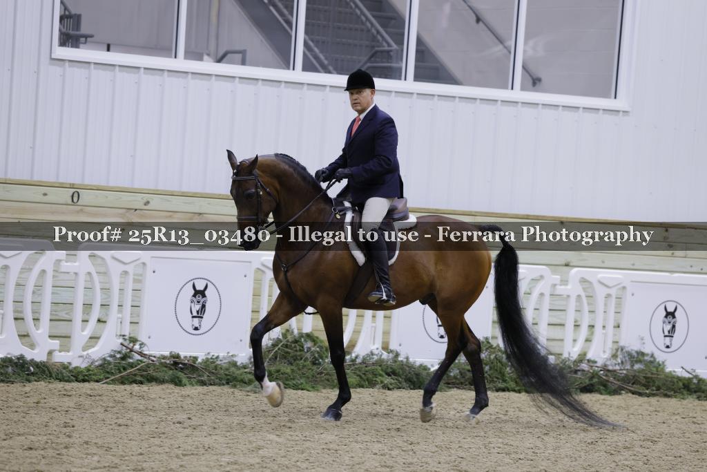 Proof Number 25R13_03480
