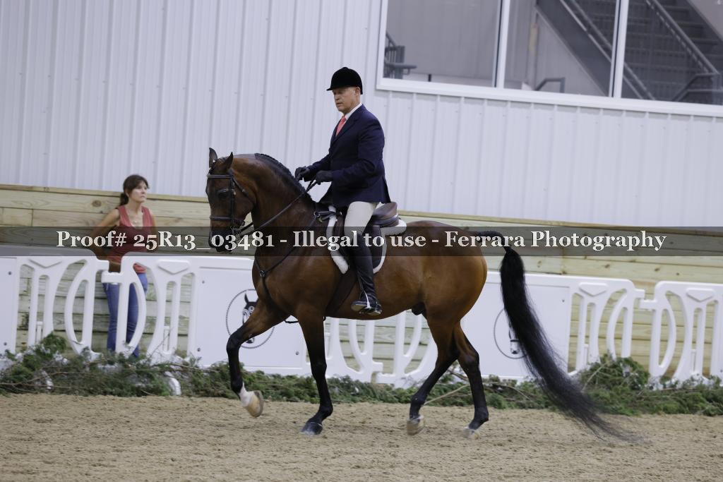 Proof Number 25R13_03481