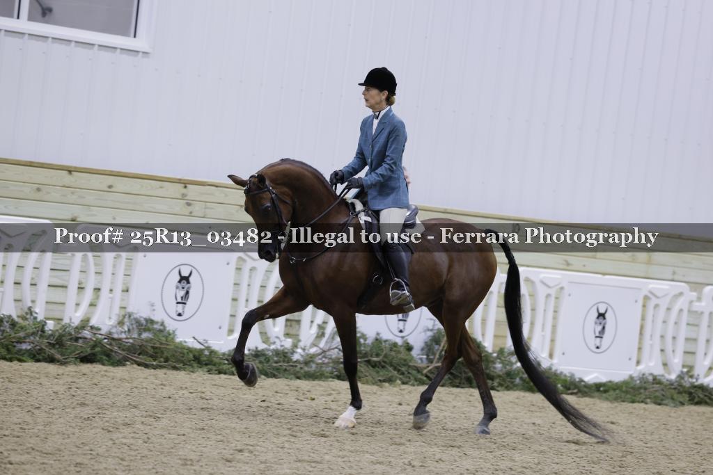 Proof Number 25R13_03482