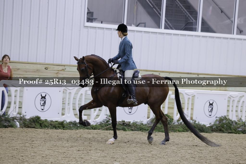 Proof Number 25R13_03483