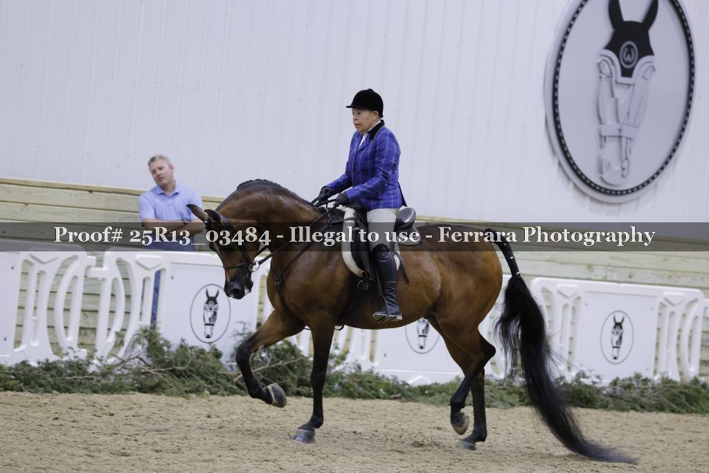 Proof Number 25R13_03484