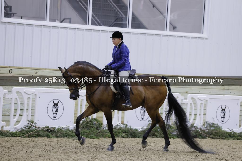 Proof Number 25R13_03485