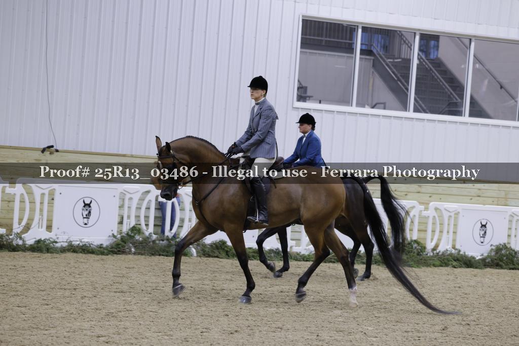 Proof Number 25R13_03486