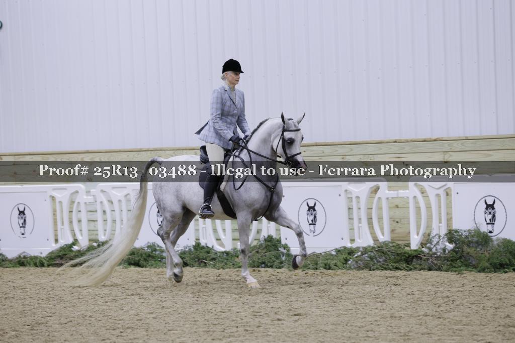 Proof Number 25R13_03488
