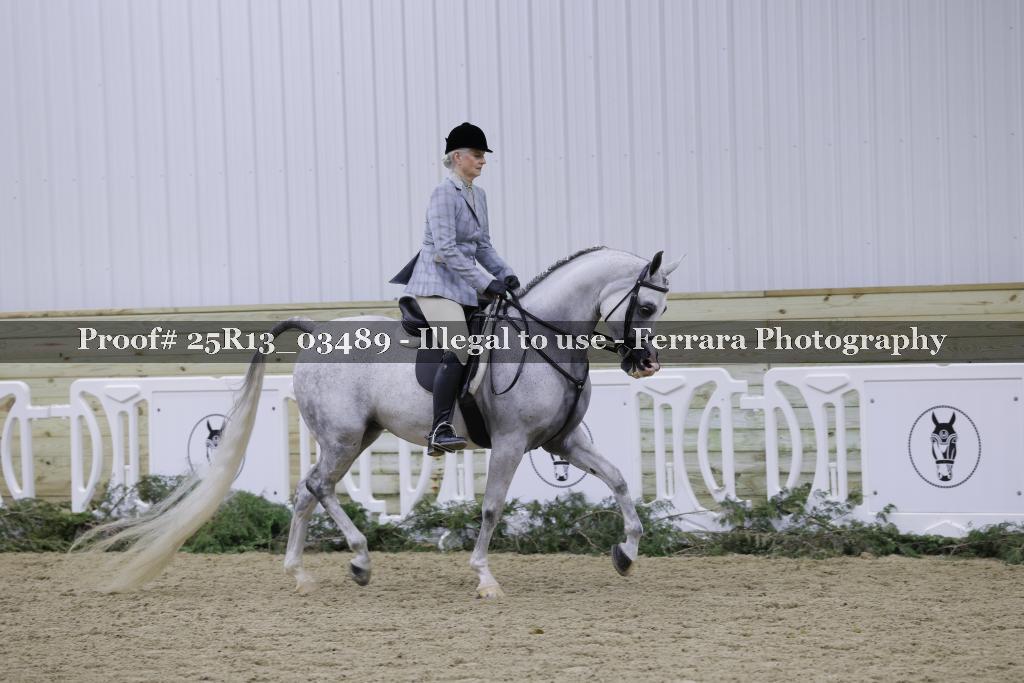 Proof Number 25R13_03489