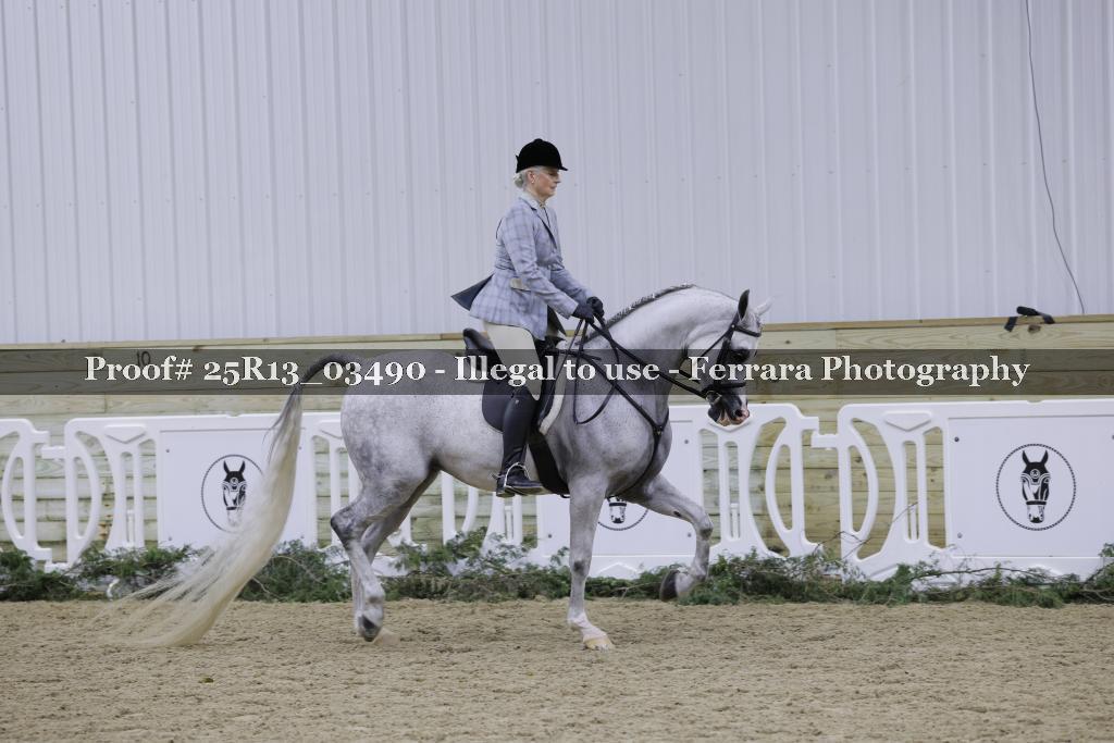 Proof Number 25R13_03490