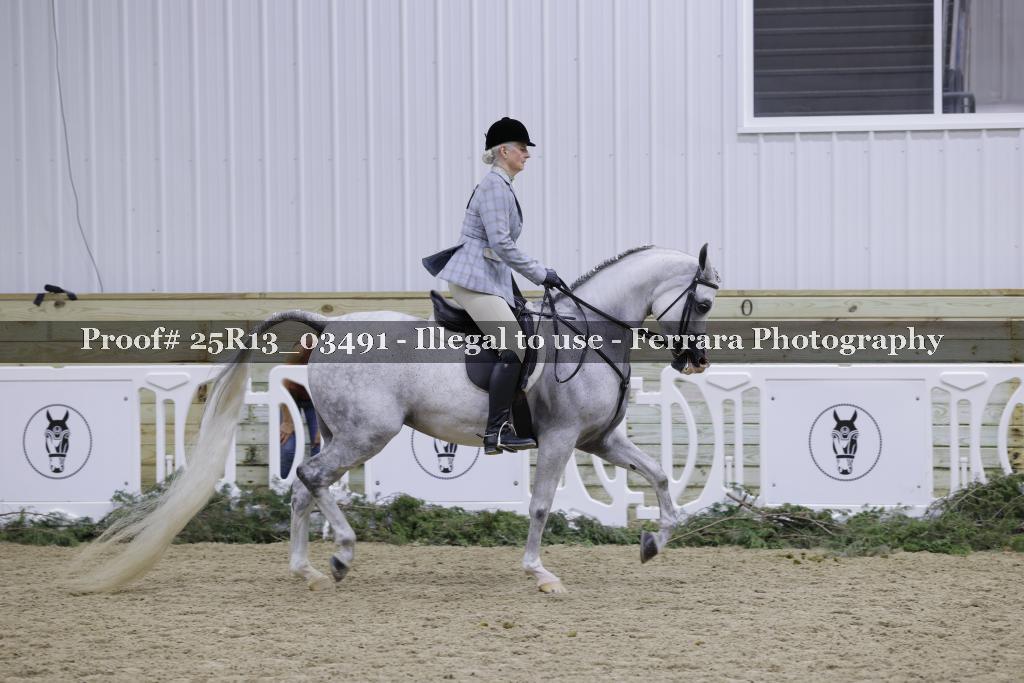 Proof Number 25R13_03491