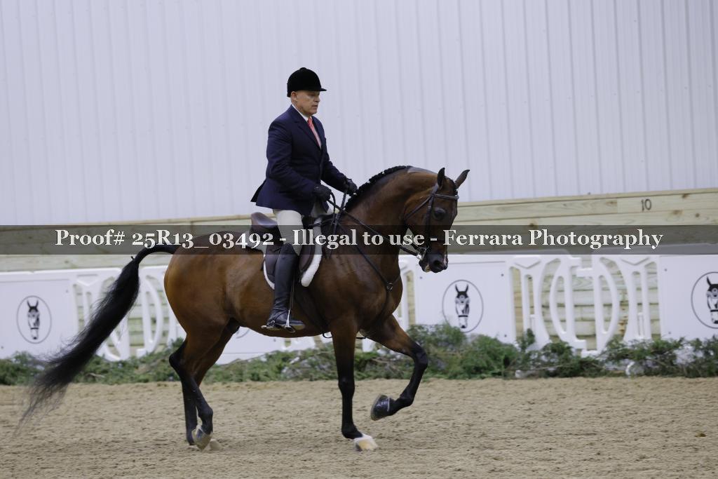 Proof Number 25R13_03492