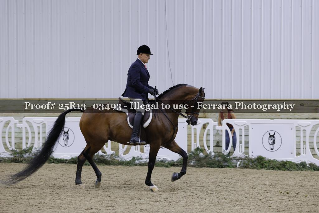 Proof Number 25R13_03493