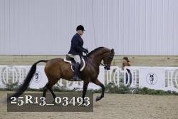 25R13_03493 thumbnail