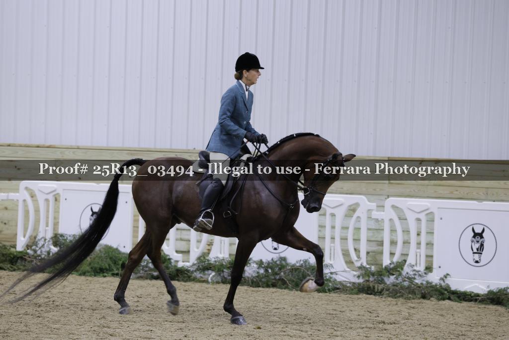 Proof Number 25R13_03494