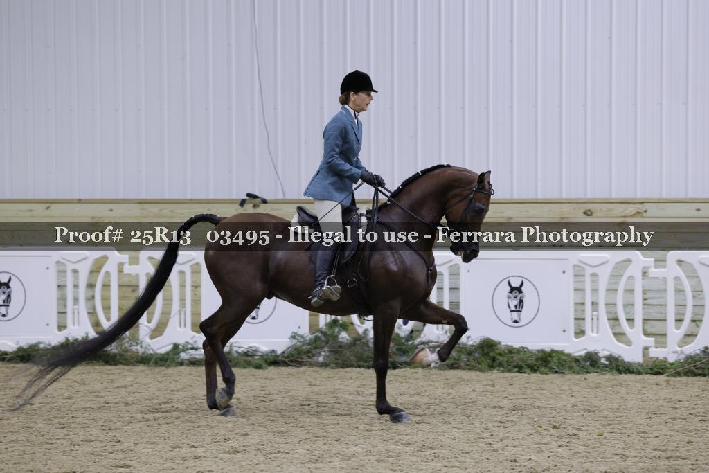 Proof Number 25R13_03495