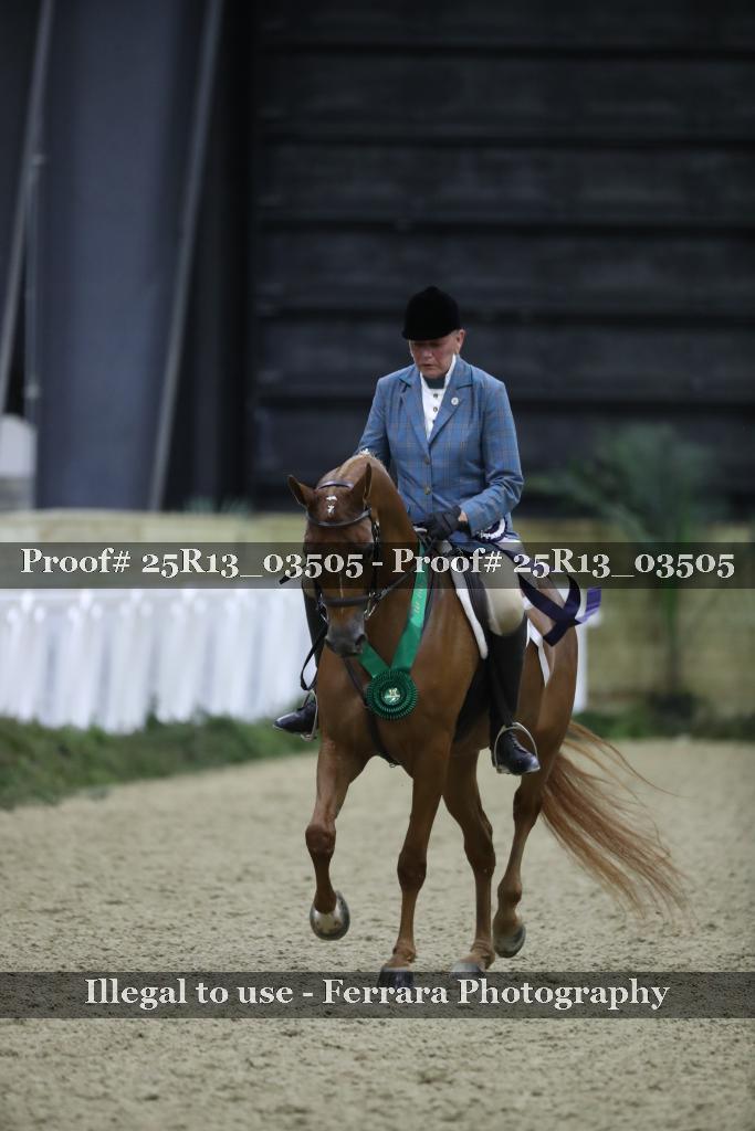 Proof Number 25R13_03505