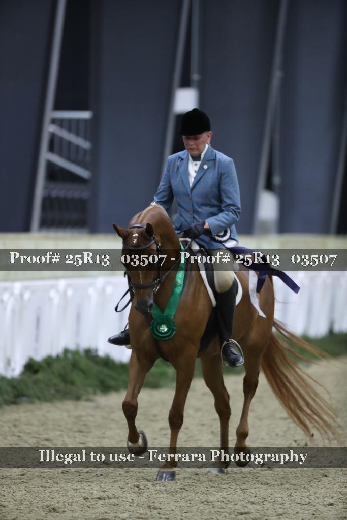 Proof Number 25R13_03507