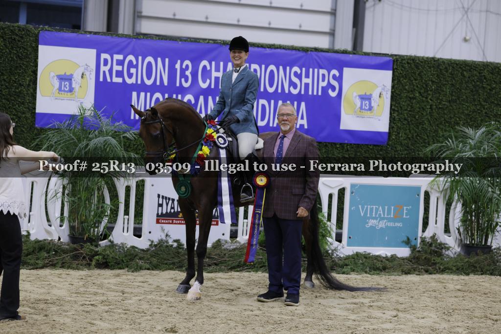 Proof Number 25R13_03509