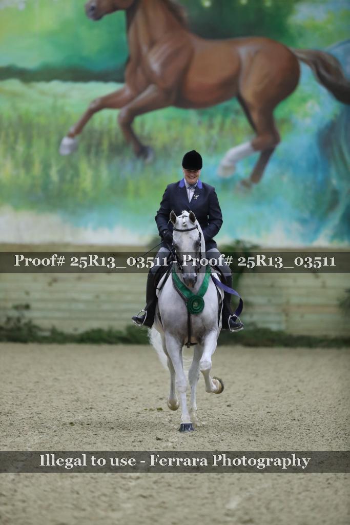 Proof Number 25R13_03511