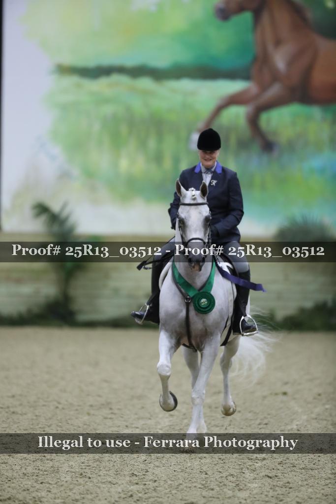 Proof Number 25R13_03512