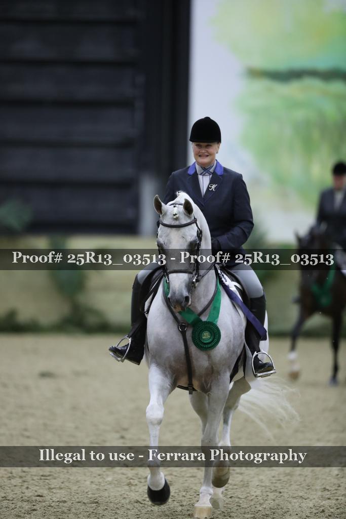 Proof Number 25R13_03513