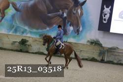 25R13_03518 thumbnail