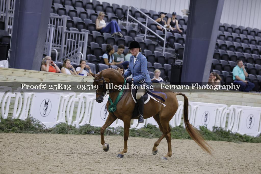 Proof Number 25R13_03519