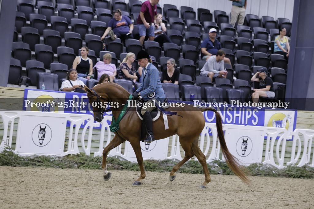Proof Number 25R13_03523