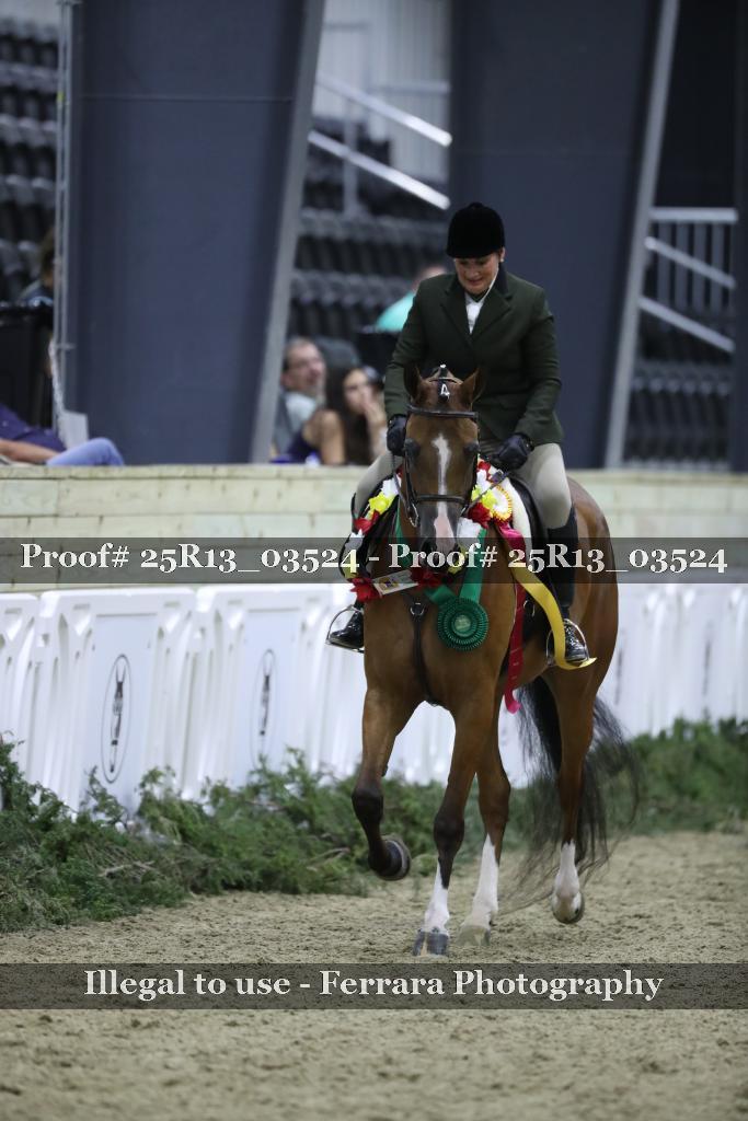 Proof Number 25R13_03524