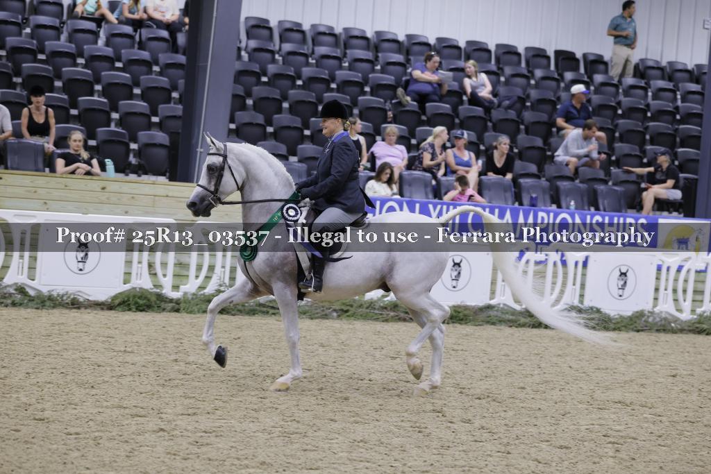 Proof Number 25R13_03537