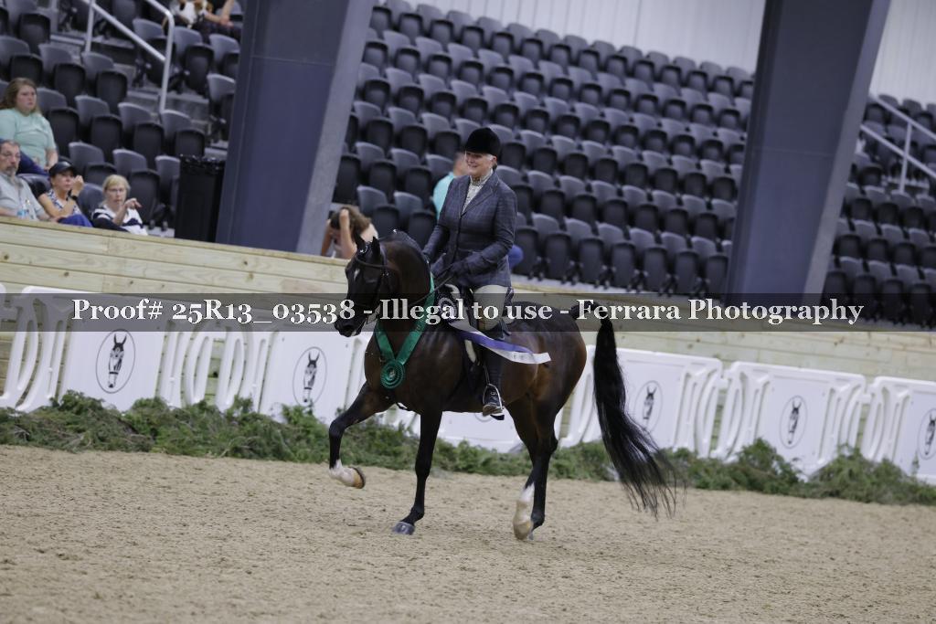 Proof Number 25R13_03538