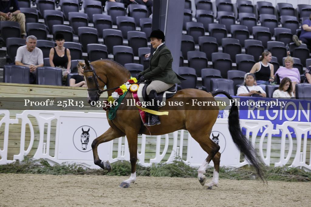 Proof Number 25R13_03546