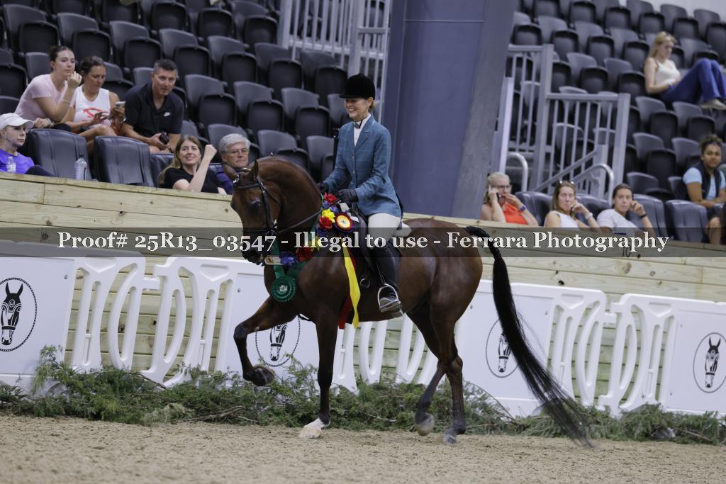 Proof Number 25R13_03547