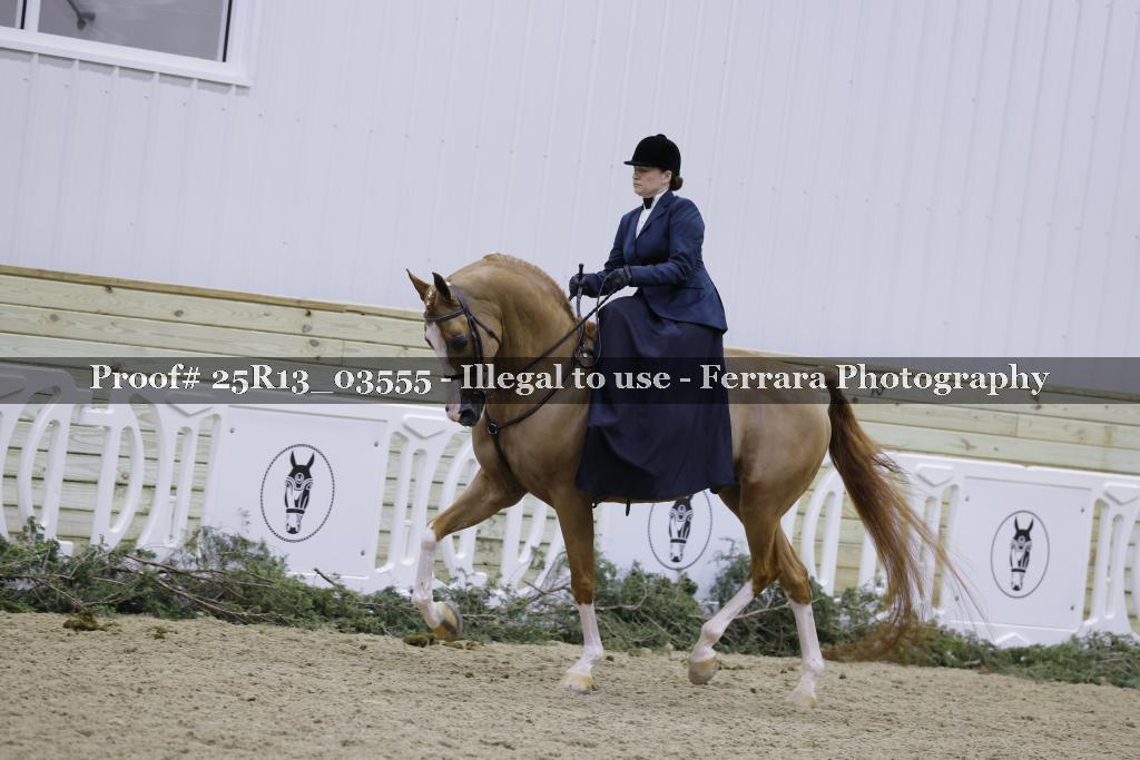 Proof Number 25R13_03555