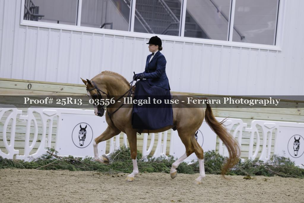Proof Number 25R13_03556
